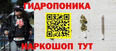 гидропоника Гусь-Хрустальный
