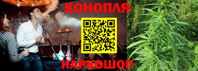 гидропоника Гусь-Хрустальный