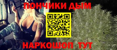 крисы Апшеронск