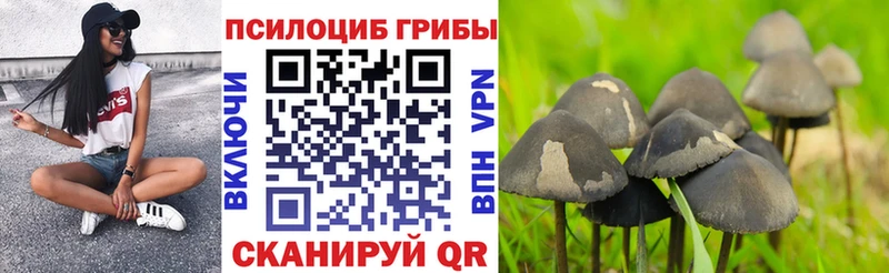 Псилоцибиновые грибы GOLDEN TEACHER  Ростов-на-Дону 