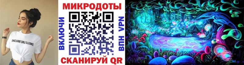 Псилоцибиновые грибы Psilocybine cubensis Ростов-на-Дону