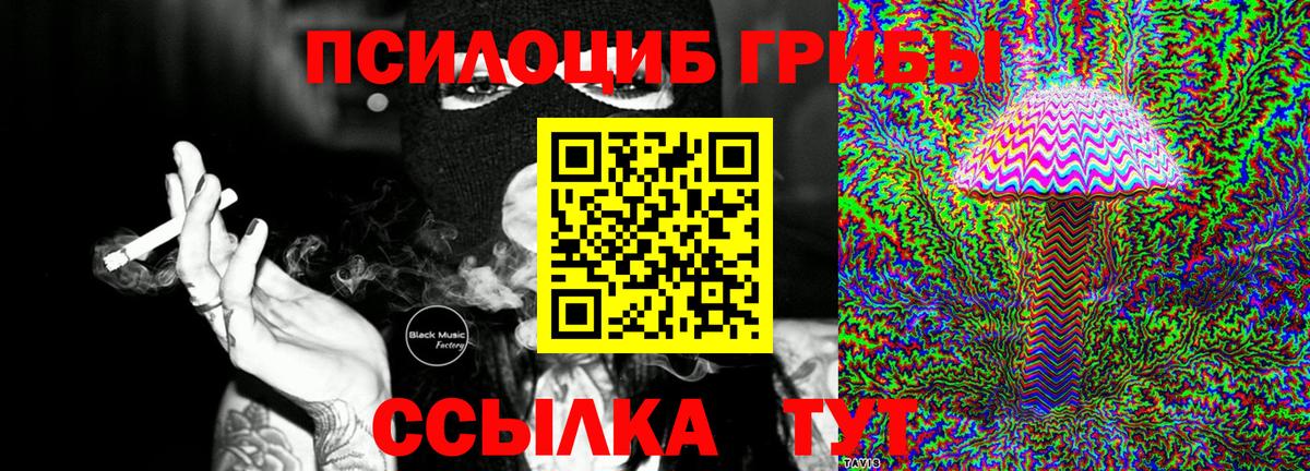 Псилоцибиновые грибы Magic Shrooms Ростов-на-Дону