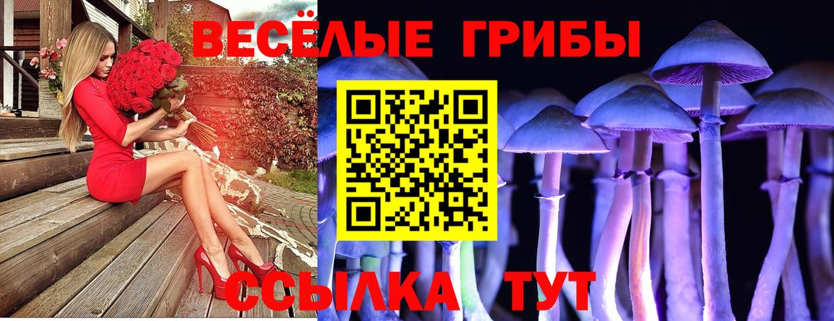 Псилоцибиновые грибы Psilocybe  как найти закладки  Ростов-на-Дону  Вход с VPN 